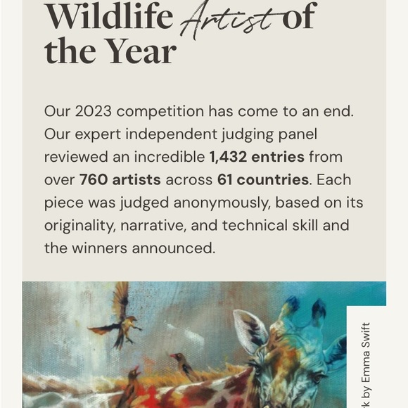 5 RARE WEDGEWOOD WILDLIFE WWF DINNER PLATES,signed David Shepherd - Picture 11 of 13